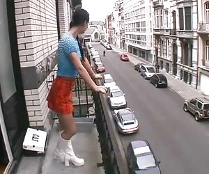 Tòa nhà khỏe mạnh, da đen, trắng hai con bò phim xet thu đực
