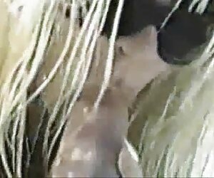 Sang trọng, Harper gặp người đàn ông của mong phim sex chó lấy người muốn.