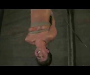 Nhà là một người sex người và thú cưng đẹp da nâu